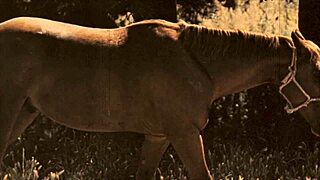 Ich liebe es, mich für vintage Tabu-Doggystyle bücken zu lassen, weißt du?