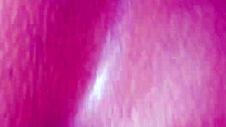 Indijska bhabhi jaha fantov ogromen kurac v jutranjem seksu