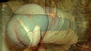 独自在家第4部展示CBT合集中的蛋蛋凸起