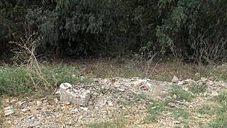 ε, ο αγρότης με έπιασε να παραβιάζω, οπότε τον άφησα να με γαμήσει!