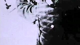 Hé, regarde cette grand-mère sauvage qui swing en style rétro sixties