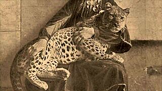 Vintage skønhed poser med beast i retro behåret charme