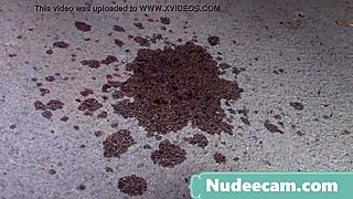 Top pornstar spotlight