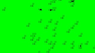 Are these latina prostitutes cheating for cash rewards?