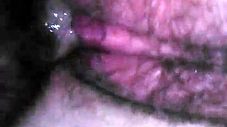 Talia Gets Her Pussy Sucked And Fucked In POV Muff Diving