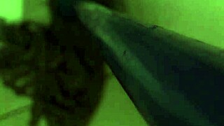 wife passionately devours big interracial cock