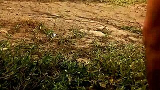 Video Captured On February 15, 2016.