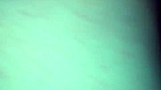 Afternoon Fun with Creampie Surprise