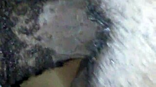 She gave good head and squirted