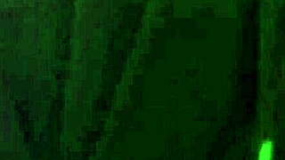 Amateur Video from 2016