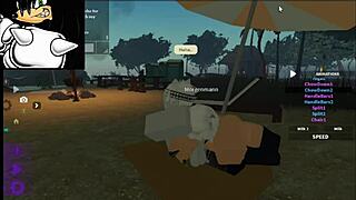 cat erp personal experience