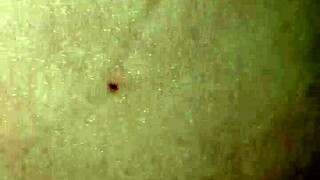 I can't get enough of Brett's thick cock in my throat