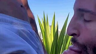 Brazilian guy sucks monster cock while cruising on the beach