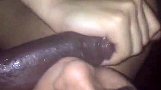 Latina Amateur Sucking Black Cock in Homemade Scene