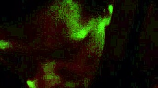 9 Minutes Without Cumming In Gay Blowjob