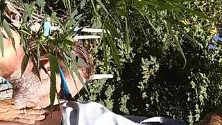 hot suck and fuck in 420 patch