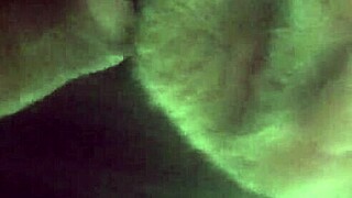 I Savored Sucking The Moreno's Dick