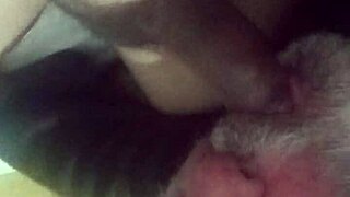 I Savored Sucking The Moreno's Dick