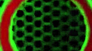 big boobed milf vicky vette devours maggie green's wet pussy