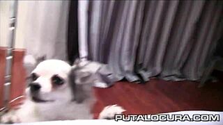 Filling chubby Violeta's pussy with cum