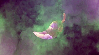 Damn! In the Tub with Alex Lima’s Huge Cock for 100 Anal Action!