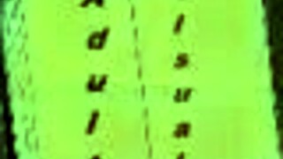 Harem hotel 36 game in a luxurious setting