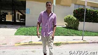 Gay weenie porn explores various themes and scenarios