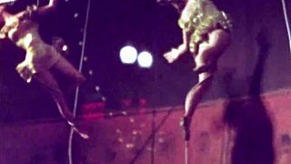 My Secret Life Unveiled in Vintage Erotic Anime