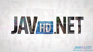 Ever seen an Asian hairy pussy compilation like this?