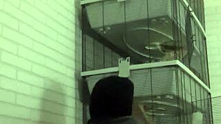 horny wet play on my sofa with tattoo