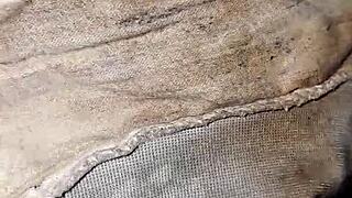 Dirty Panties Of The Neighbor