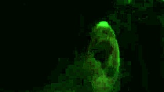 Feeling The Intense Pleasure Of Mouth To Ass To Mouth With Wife