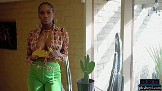 huge natural ebony tits on playboy model nyla