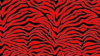 big booty battle petite versus big booty who won