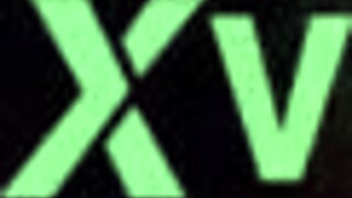 i love this black cock