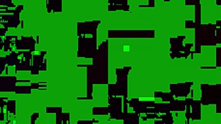 i love this black cock