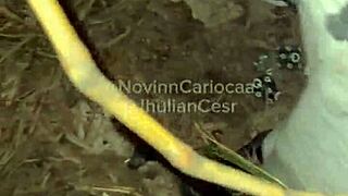 Orgia no matagal com 4 novinhos dotados no Engenheiro Goulart