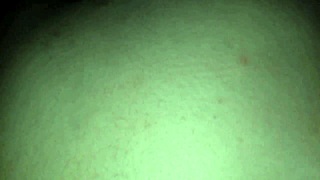 cogiendo infiel, she loves it deep in her panocha and culo every time