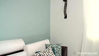 Charley chase in intense pov scene