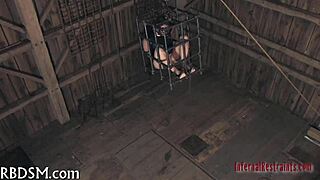 free sadomasochism games