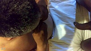 Sucking black shemale's monster cock passionately in lesbian blowjob scene!