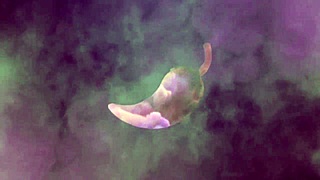 Apostei com vizinho, meu cu goza e ele perdeu, cumshot no xv red