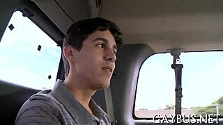 Homosexual bear sex.