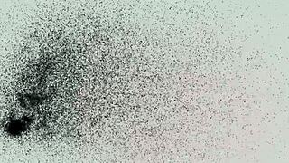 Exclamatory-Raw pandy gets wild behind bars with interracial action, oh man!