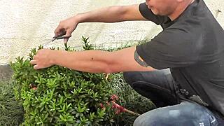 married woman compensated gardener with service