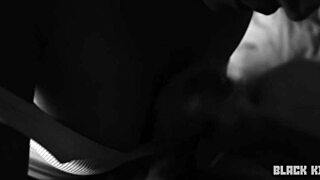 Psychedelic Weekend Episode 5 Continues With Vibrant Adventures