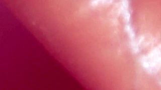 Fuck Me Hard Till You Finish On My Slutty College Tits - I Want Anal Sex The Freebie Part 1