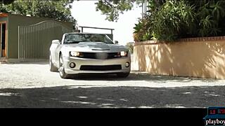 american lesbians fingering on corvette hood 😍