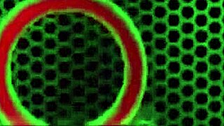 Jillian Janson's Lovers Dive into Wet Pussy Lips