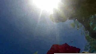 olivia has some summer fun in the pool